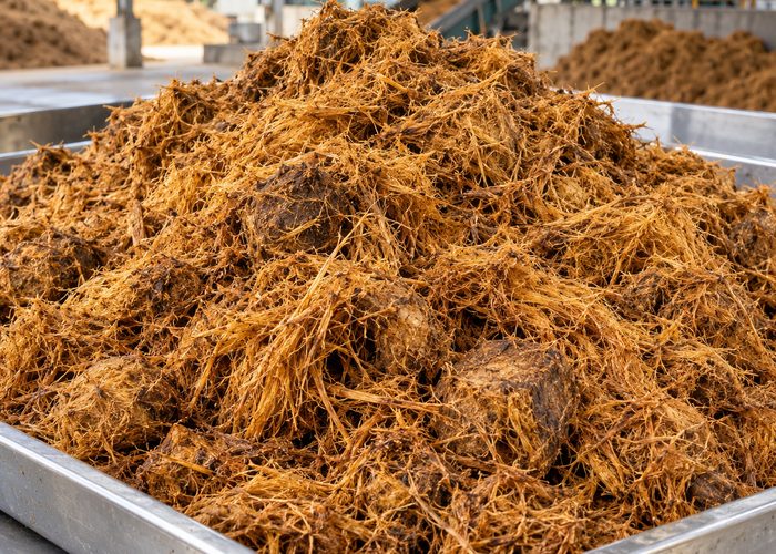Serat Sawit (Fiber)